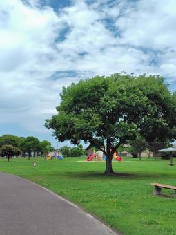 公園 公園 公園,緑,初夏の写真素材
