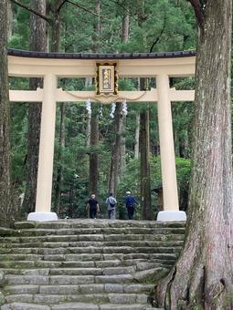 熊野那智大社・飛瀧神社の鳥居と石段 熊野那智大社・飛瀧神社の鳥居と石段 熊野那智大社,飛瀧神社,世界遺産の写真素材