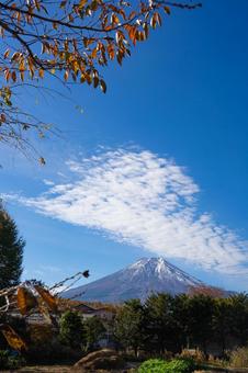 秋の忍野八海から見える富士山 秋の忍野八海から見える富士山の写真