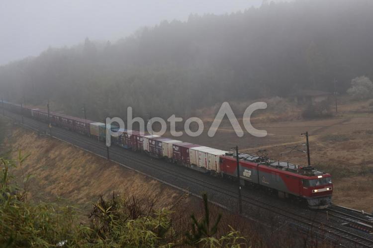朝もやを行く貨物列車 貨物列車,貨物,電車の写真素材