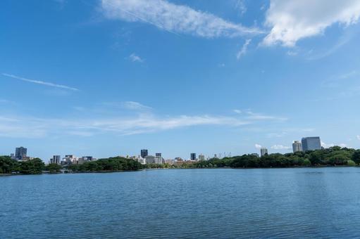 晴れ渡る大濠公園 晴れ渡る大濠公園の写真