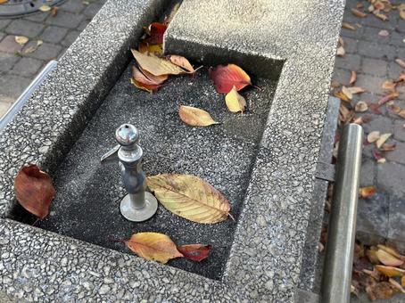 水飲み場 公園,水,水飲み場の写真素材