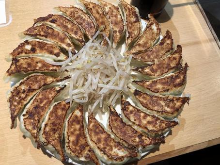 餃子 餃子の写真