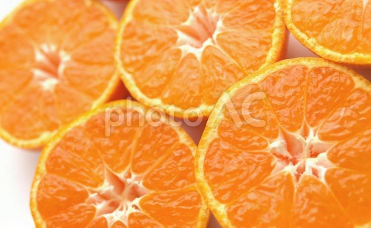スライスした蜜柑、みかん、断面 みかん,ミカン,蜜柑の写真素材