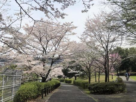 風景写真 風景写真の写真
