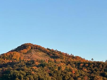 秋の大文字山 大文字山,大文字,山の写真素材
