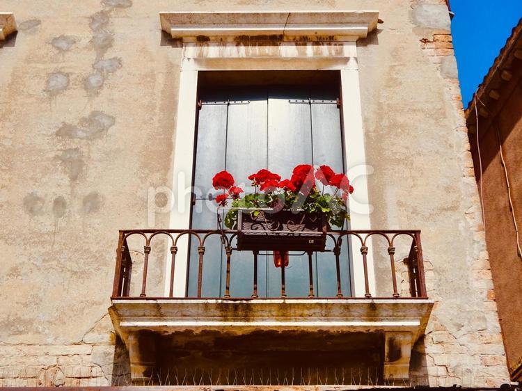 おしゃれなベネチアの住宅とバラの花々 青空,空,おしゃれの写真素材