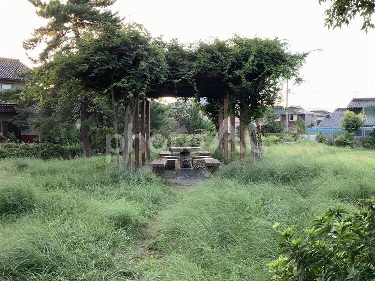 草が生い茂る屋根付きベンチ 草,屋根,ベンチの写真素材