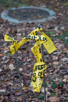 グルグルに巻き付き絡まった立入禁止テープ 繊細,屋外,昼間の写真素材