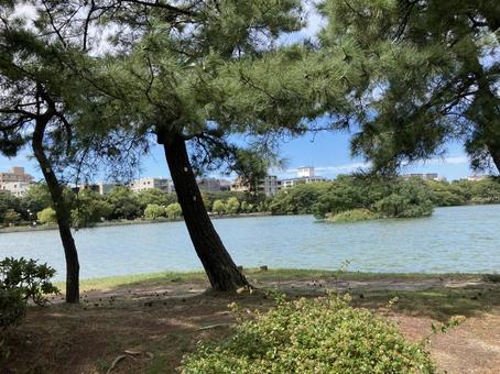 Photo, lake, fukuoka, water, 