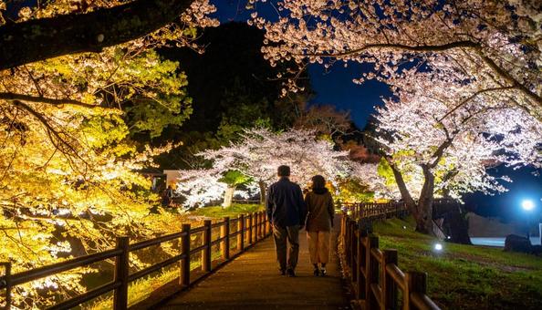 40代日本人男女の婚活交際夜景デート 40代日本人男女の婚活交際夜景デートの写真