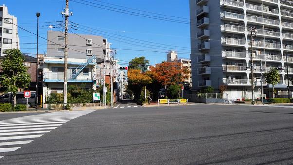 西葛西・清砂大橋通り&紅葉(江戸川区) 西葛西・清砂大橋通り&紅葉(江戸川区) 清砂大橋通り,西葛西,紅葉の写真素材