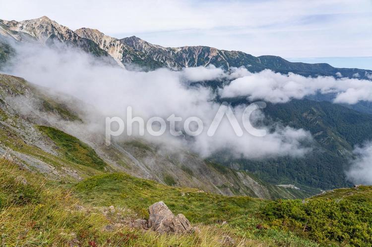 白馬八方尾根から白馬三山を望む 雲海,白馬三山,白馬岳の写真素材