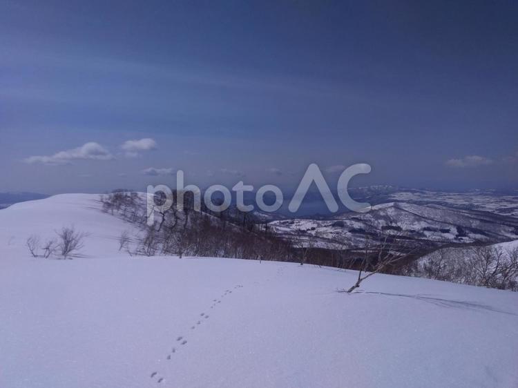 うさぎの足跡　雪景色 空,風景,雪景色の写真素材