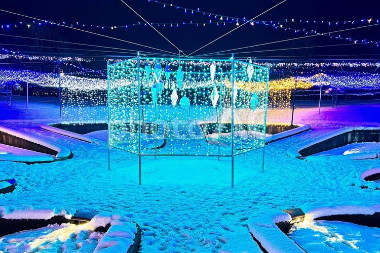とっとり花回廊　冬のイルミネーション 鳥取,電飾,雪の写真素材