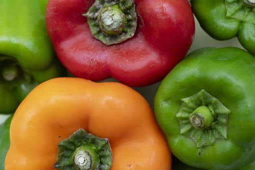 カラフルなパプリカの写真