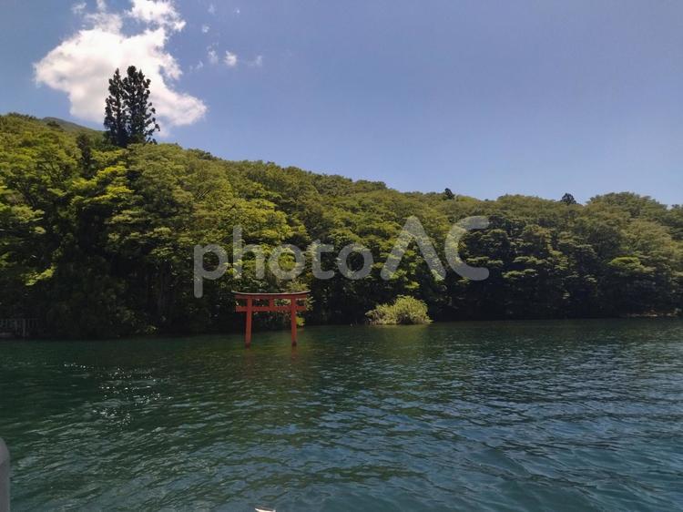 鳥居 鳥居,水,湖の写真素材