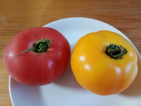 赤と黄色いトマト2 黄色い,黄色,トマトの写真素材