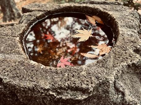 水に浮かぶ紅葉 秋,紅葉,景色の写真素材