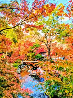 紅葉渓庭園の紅葉 紅葉渓庭園,紅葉,秋の写真素材