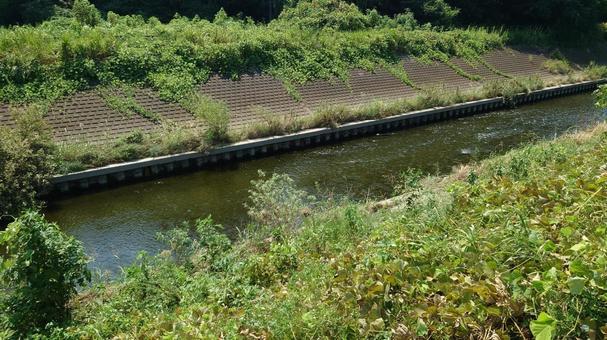 川の流れ 川の流れ 川,小川,水辺の写真素材