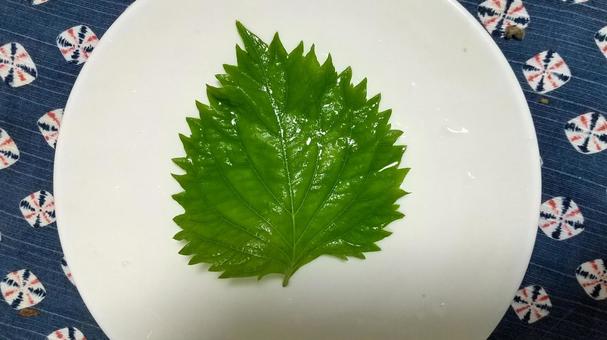 青じその葉(大葉) 青じその葉(大葉)の写真