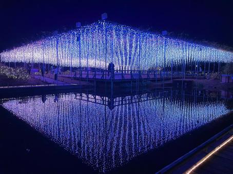 Photo, illumination, it's beautiful, beautiful, 