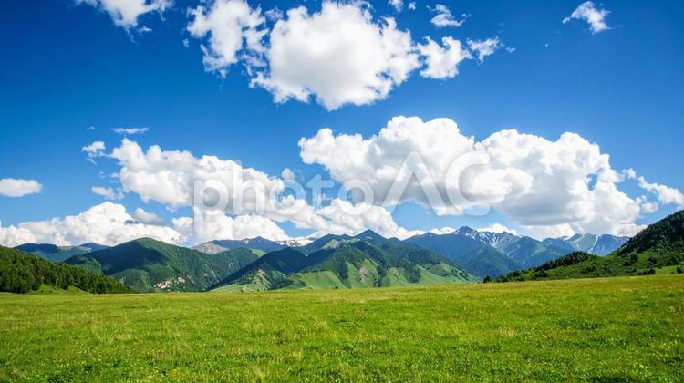 青空の下の山の高原03 高原,山,草の写真素材