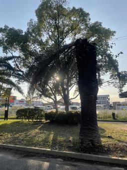 秋の空 空,のどか,静かの写真素材