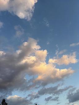 夕雲 夕雲の写真