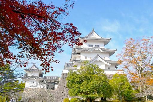秋の伊賀上野城 伊賀上野城,天守閣,白鳳城の写真素材