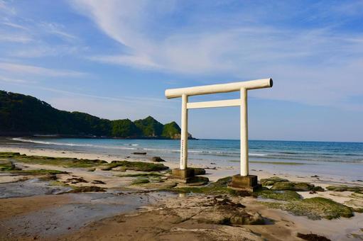 鵜原海岸 鵜原海岸の写真