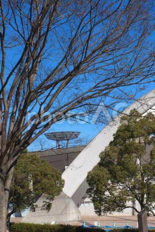 スダジアムと樹木 ビル,ブランチ,何人もありませんの写真素材
