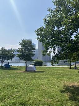 夏の豊洲公園 夏の豊洲公園 公園,青空,ピクニックの写真素材