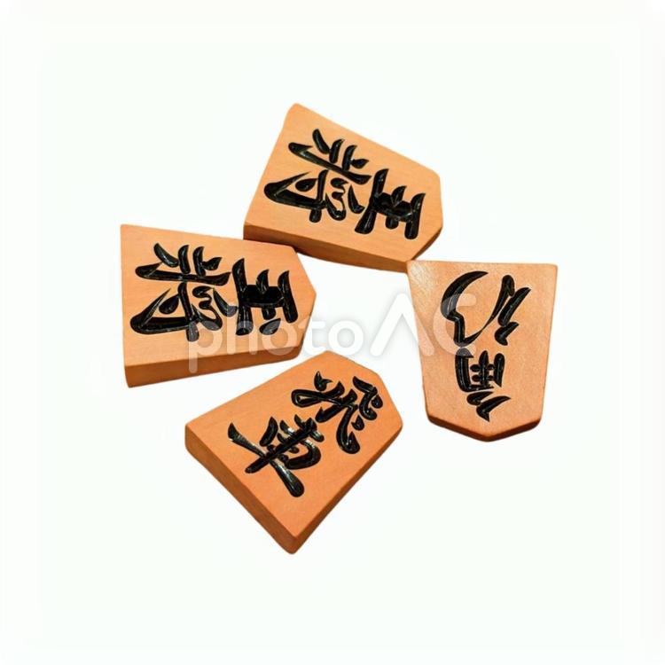将棋の駒　白背景　 将棋,駒,王将の写真素材
