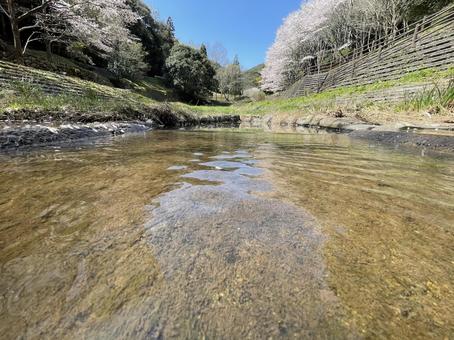 桜のある風景_2 桜のある風景_2の写真