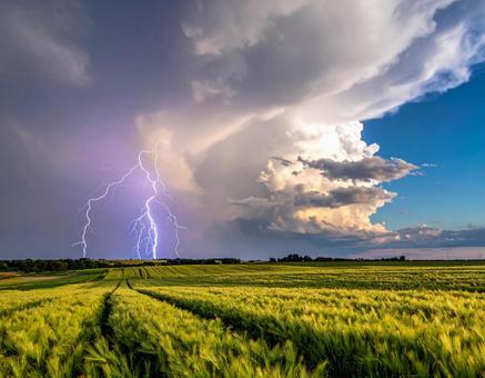雷が落ちる草原の写真 雷が落ちる草原の写真の写真