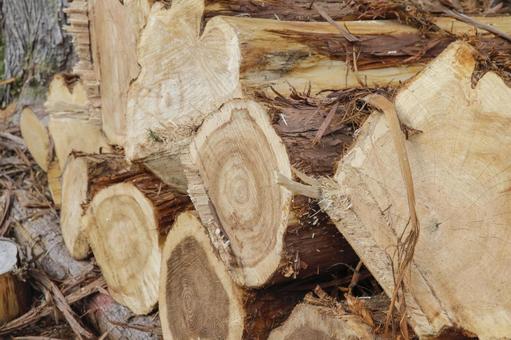 積み上げられた丸太 切り株,丸太,木材の写真素材
