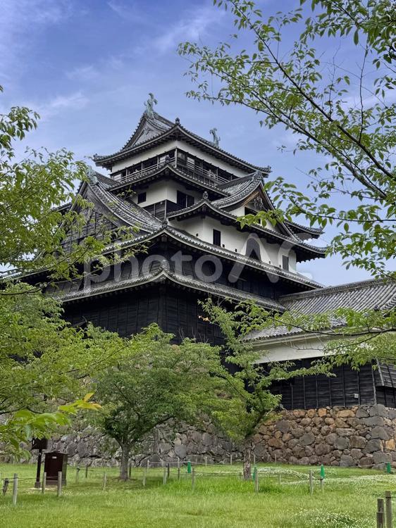 松江城_2 松江城,天守閣,現存天守の写真素材
