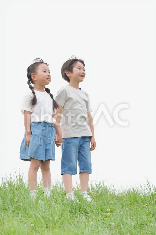 土手で手を繋いで遠くを見る男の子と女の子 男の子,女の子,女児の写真素材