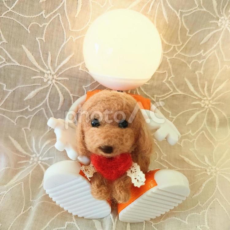 電球君と、羊毛フェルトのワンちゃん 電球君,羊毛フェルト,わんちゃんの写真素材