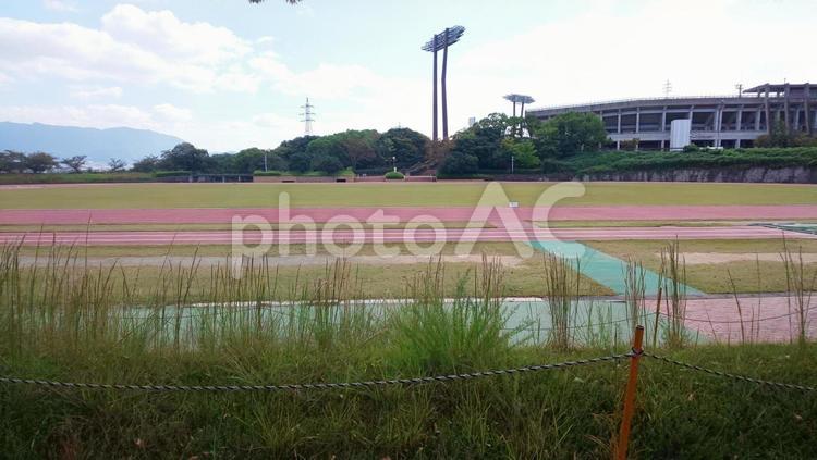陸上競技場-博多の森 陸上競技場,スポーツ,設備の写真素材