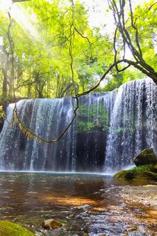 【熊本県】鍋ヶ滝 鍋ヶ滝,滝,川の写真素材