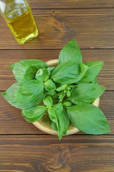 バジル バジル バジル,葉,バジリコの写真素材