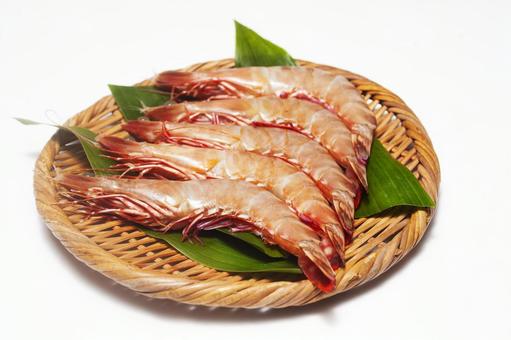 生の車エビ1 生の車エビ1 車エビ,海老,エビの写真素材