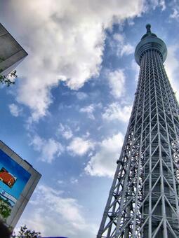 曇り日の東京スカイツリー-200 東京スカイツリー,曇り日,雲の写真素材