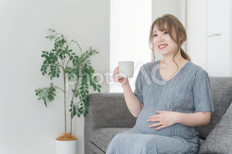 家のソファでホットドリンクを飲む妊婦 妊娠,女性,妊婦の写真素材