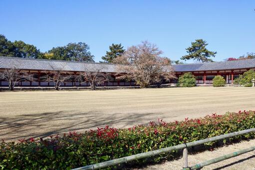 東大寺の回廊 東大寺,回廊,寺院の写真素材