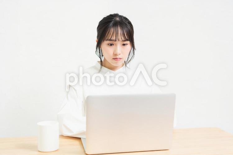 白背景の前でPCを操作する若い女性 パソコン,pc,若いの写真素材