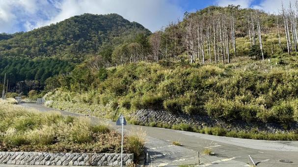 田舎の風景 田舎の風景の写真